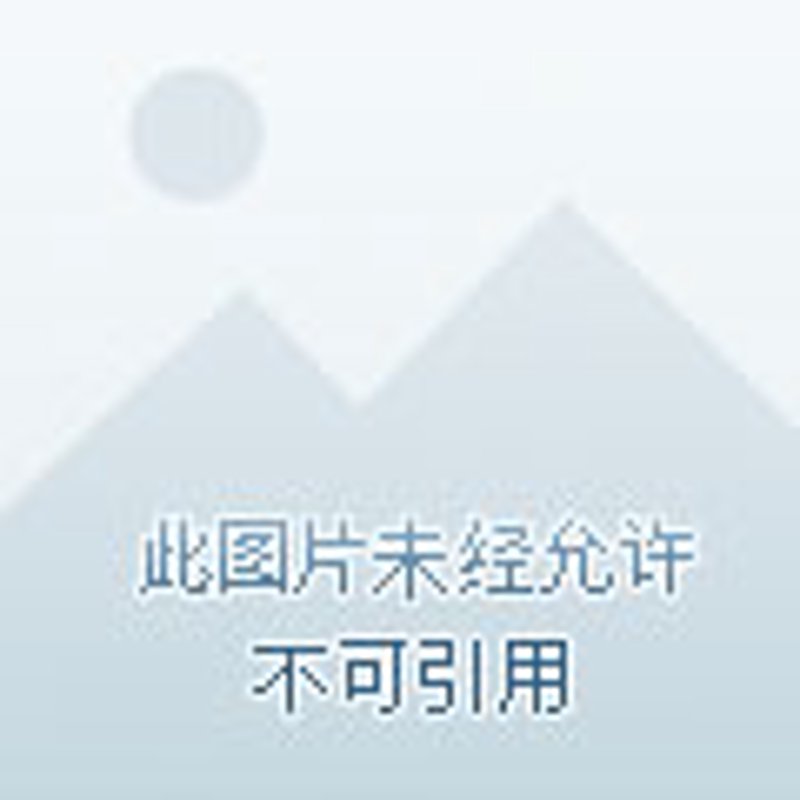 在线算命：现代与传统的交织